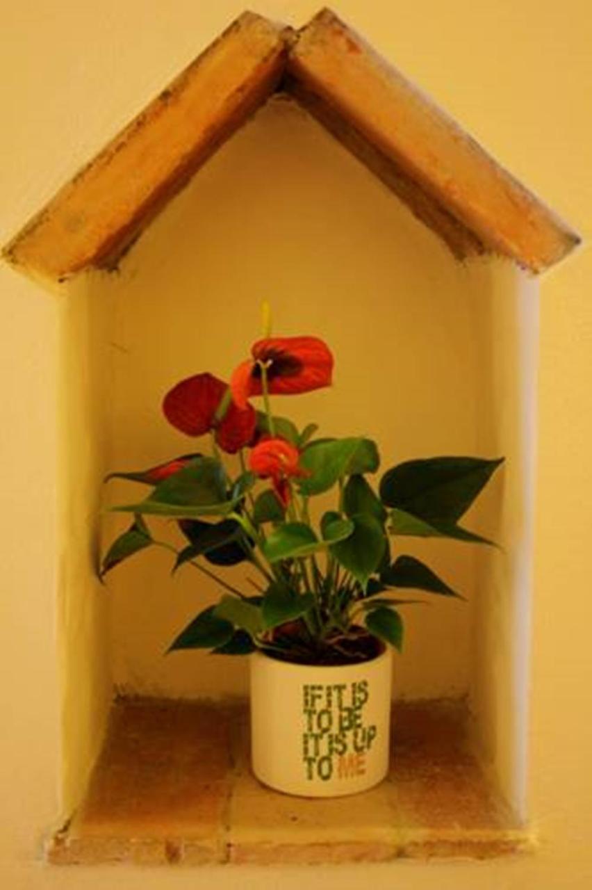 Pensión Casa Corsi 2*